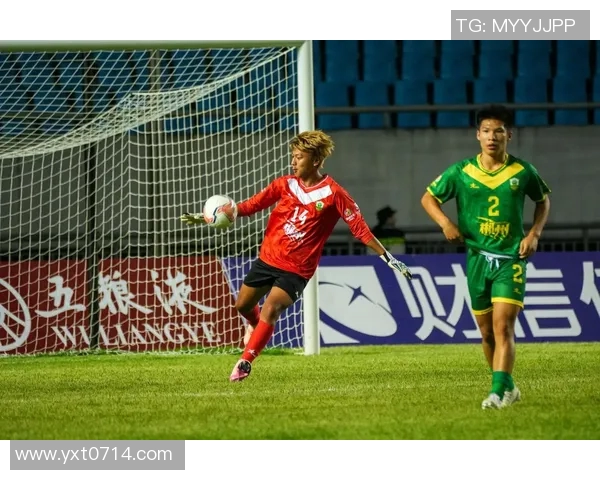 郴州足球明星盘点：他们在绿茵场上的辉煌成就与影响力